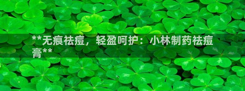 ag九游会老哥：**无痕祛痘，轻盈呵护：小林制药祛痘
膏**