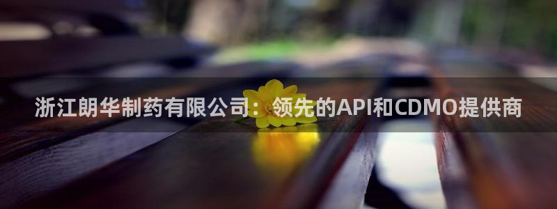 ag九游老哥俱乐部：浙江朗华制药有限公司：领先的API和CDMO提供商