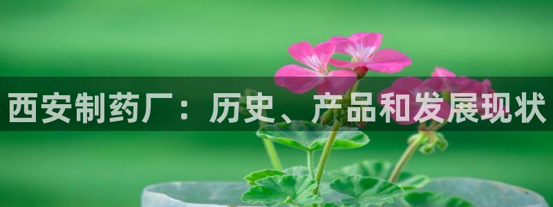 老哥俱乐部是干什么的啊：西安制药厂：历史、产品和发展现状