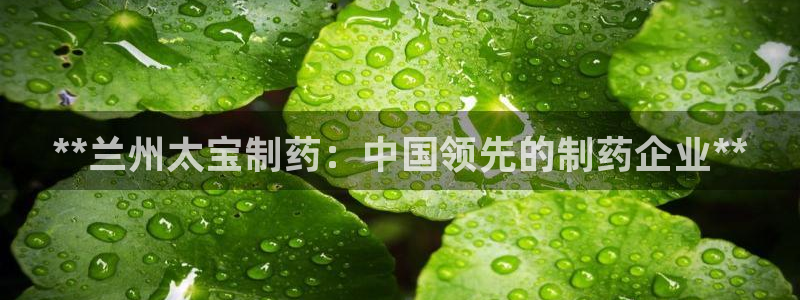 九游会老哥：**兰州太宝制药：中国领先的制药企业**
