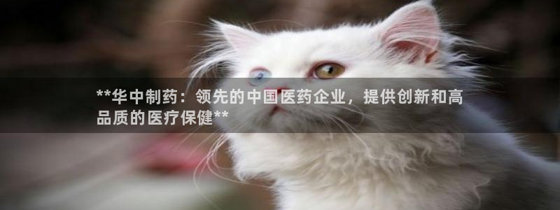 九游会老哥必备的交流社区九：**华中制药：领先的中国医药企业，提供创新和高
品质的医疗保健**