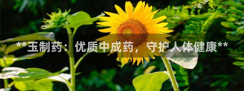 9游会老哥：**玉制药：优质中成药，守护人体健康**