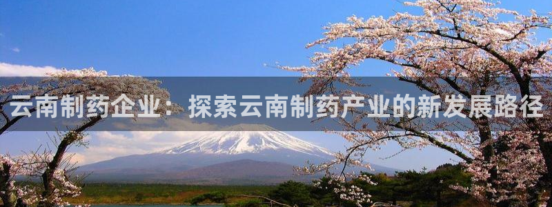 usdt九游会老哥俱乐部：云南制药企业：探索云南制药产业的新发展路径
