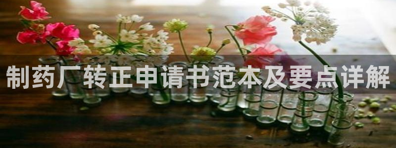 ag九游老哥俱乐部：制药厂转正申请书范本及要点详解