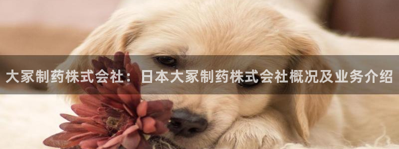 九游老哥俱乐部官网登录不了：大冢制药株式会社：日本大冢制药株式会社概况及业务介绍