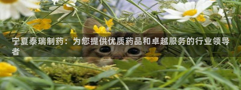九游会老哥俱乐部官方网站：宁夏泰瑞制药：为您提供优质药品和卓越服务的行业领导
者
