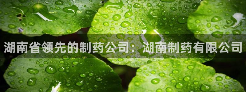 九游会老哥俱乐部必备的交流社区论坛：湖南省领先的制药公司：湖南制药有限公司