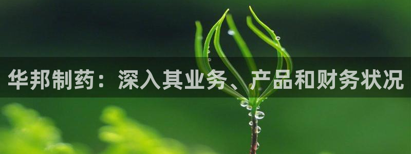 九游老哥俱乐部官网登录入口：华邦制药：深入其业务、产品和财务状况