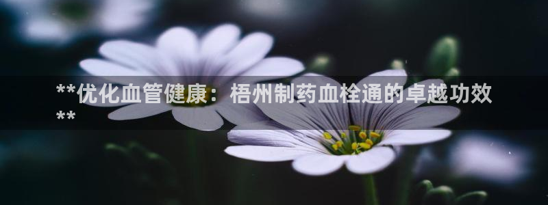 老哥俱乐部是干什么的：**优化血管健康：梧州制药血栓通的卓越功效
**