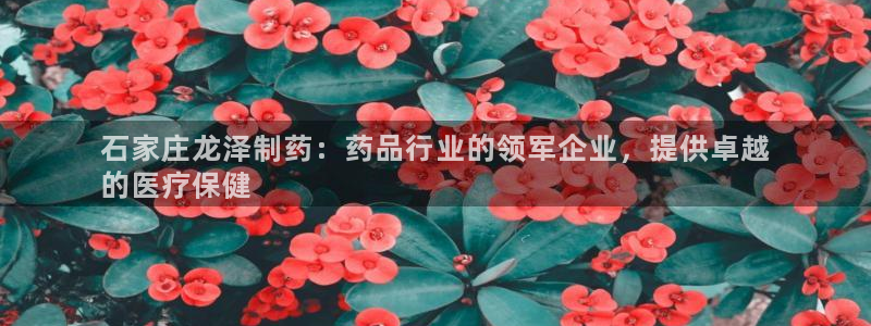 九游会老哥俱乐部社区论坛：石家庄龙泽制药：药品行业的领军企业，提供卓越
的医疗保健
