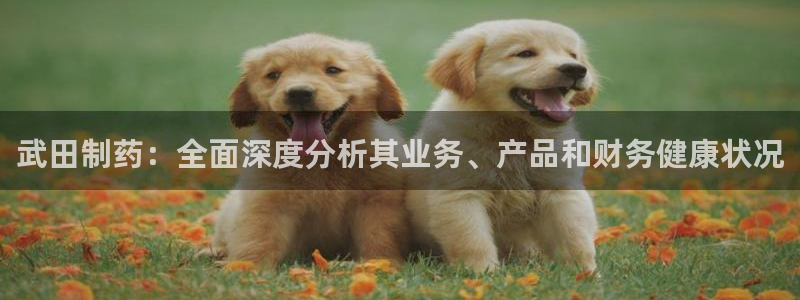 老哥俱乐部是干什么的：武田制药：全面深度分析其业务、产品和财务健康状况