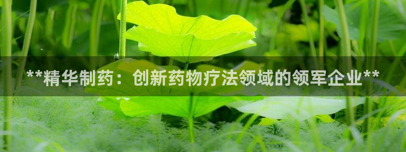 九游老哥俱乐部官网登录：**精华制药：创新药物疗法领域的领军企业**