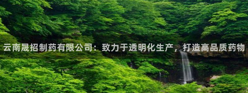 ag九游会老哥：云南晟招制药有限公司：致力于透明化生产，打造高品质药物